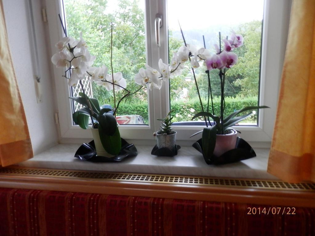 Ferienwohnung Wurm Anger  Buitenkant foto
